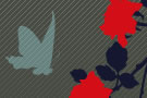 modern_rose_Gr